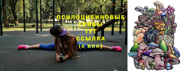 ешки Абаза