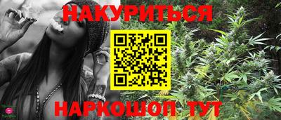 сатива Можайск