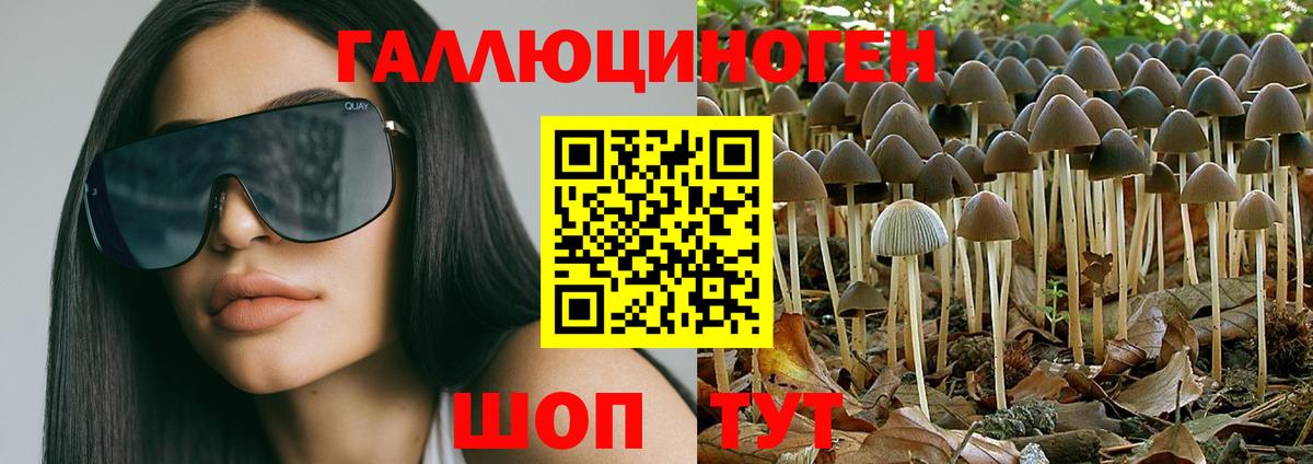 Галлюциногенные грибы GOLDEN TEACHER Алапаевск