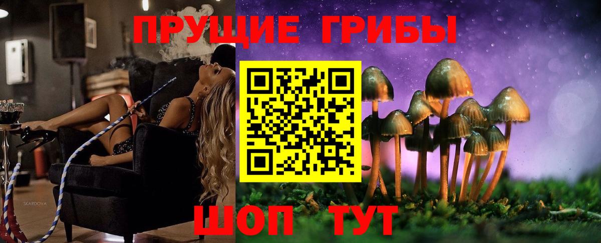 Алапаевск  Псилоцибиновые грибы прущие грибы  Вход с VPN 